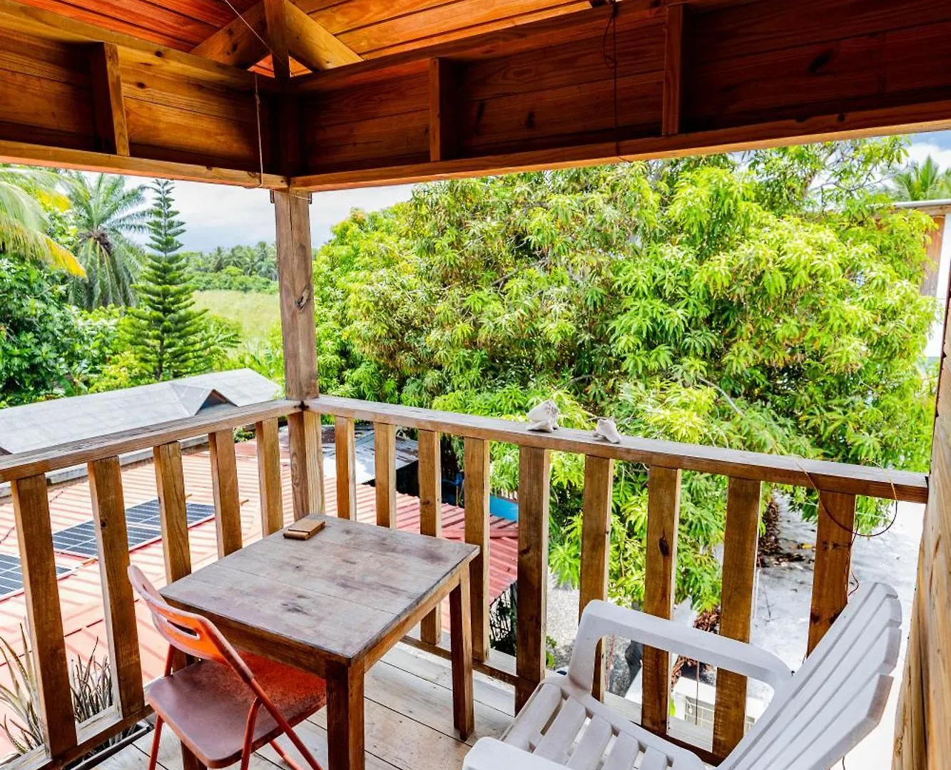 Mango House Big Air Studio Cabarete Dominican Republic